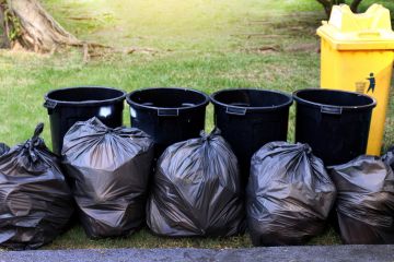 Yard Waste Removal in The Colony